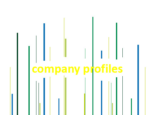 company profiles 公司简介