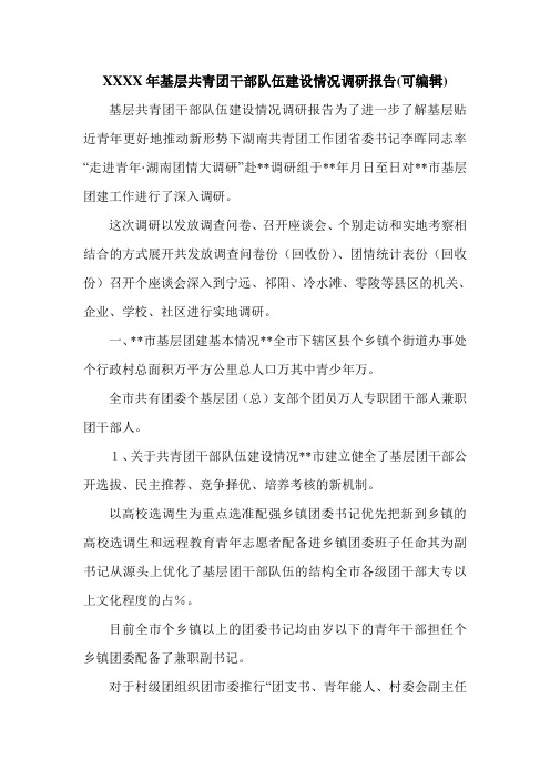 XXXX年基层共青团干部队伍建设情况调研报告(可编辑).doc