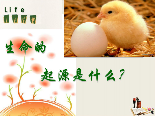 人民版追寻生命的起源精品课件1