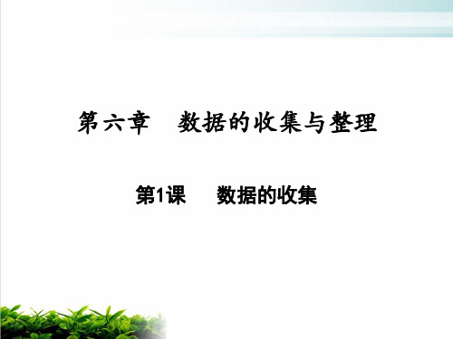 《数据的收集》优质ppt人教B版1