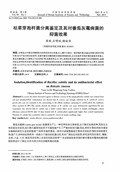 枯草芽孢杆菌分离鉴定及其对番茄灰霉病菌的抑菌效果