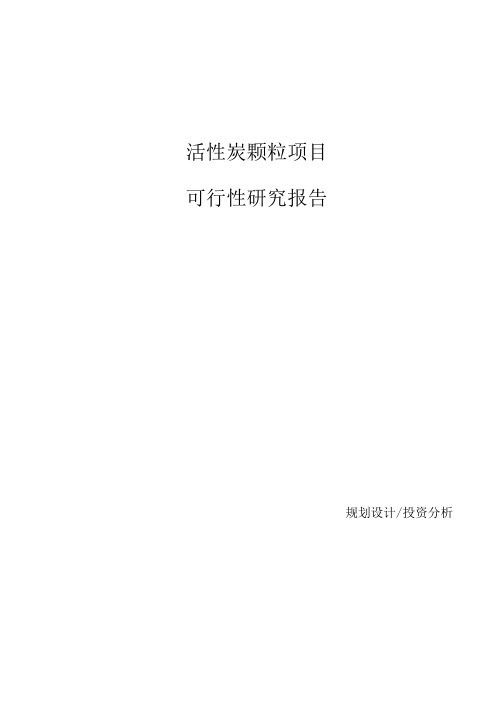 活性炭颗粒项目可行性研究报告参考模板.docx