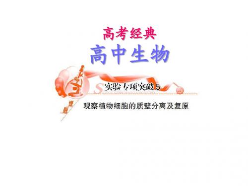 高考生物实验专项突破复习5 观察植物细胞的质壁分离及复原