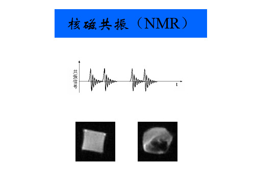 核磁共振(NMR)