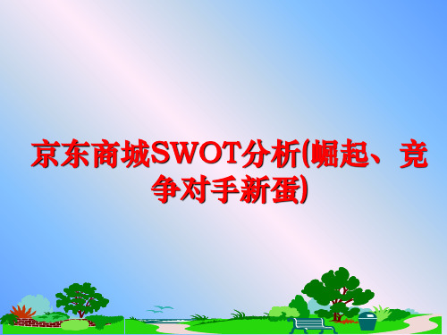 最新京东商城SWOT分析(崛起、竞争对手新蛋)