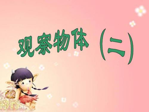 信息窗(观察物体)
