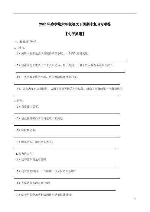2020年春学期六年级语文下册期末复习专项练三【句子类题】附答案