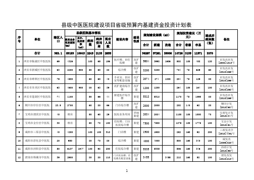 县级中医医院建设项目省级预算内基建资金投资计划表xls