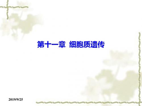 第十一章  细胞质遗传 (共117张PPT)