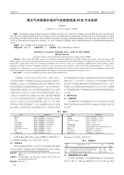 嗜水气单胞菌和温和气单胞菌快速PCR方法检测