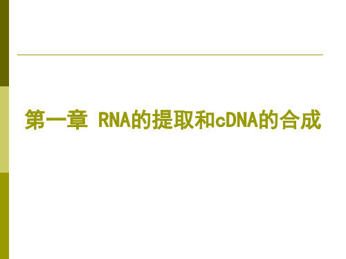 RNA病毒检测简述