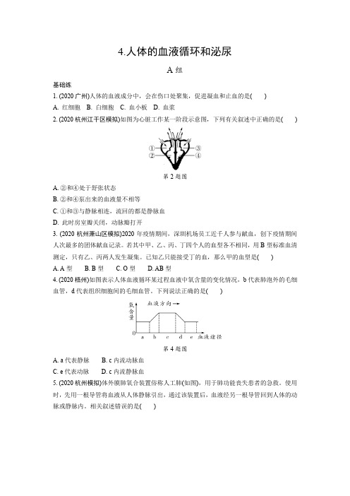 2021年浙江中考科学一轮复习训练：生物部分4人体的血液循环和泌尿