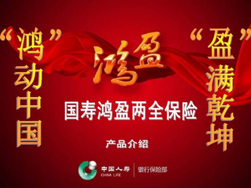 鸿盈产品新人版