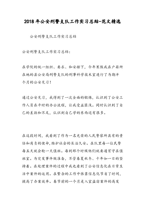 2018年公安刑警支队工作实习总结-范文精选