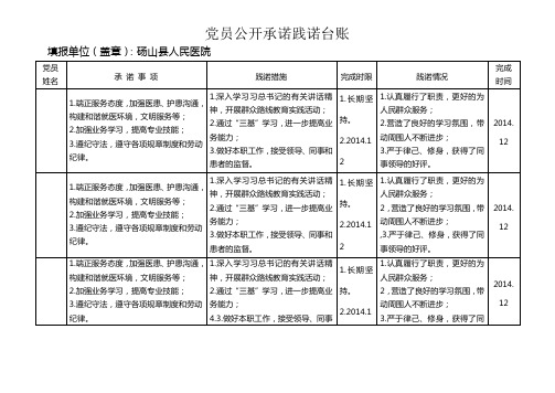 党员公开承诺践诺台账