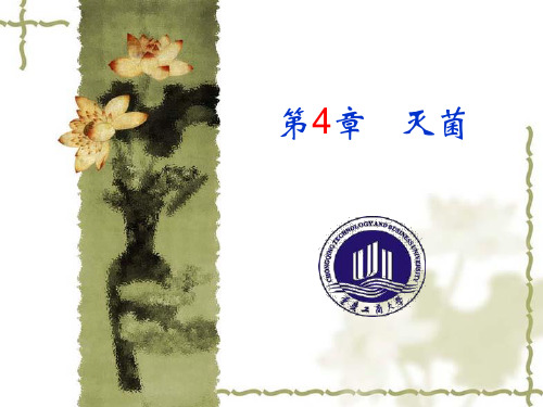 第4章 灭菌