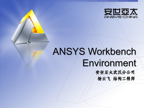 ANSYS Workbench  Environment