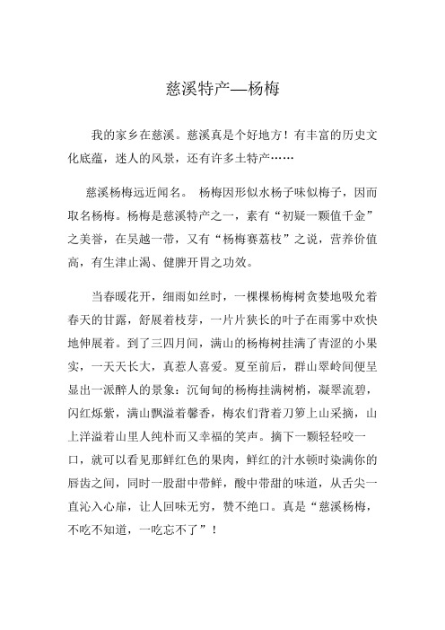慈溪特产--杨梅