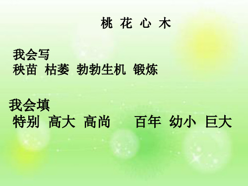 《桃花心木》配套答案