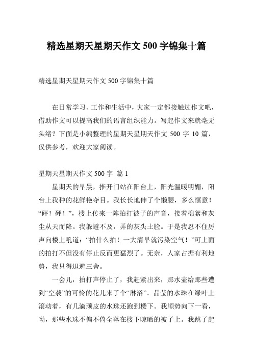 精选星期天星期天作文500字锦集十篇
