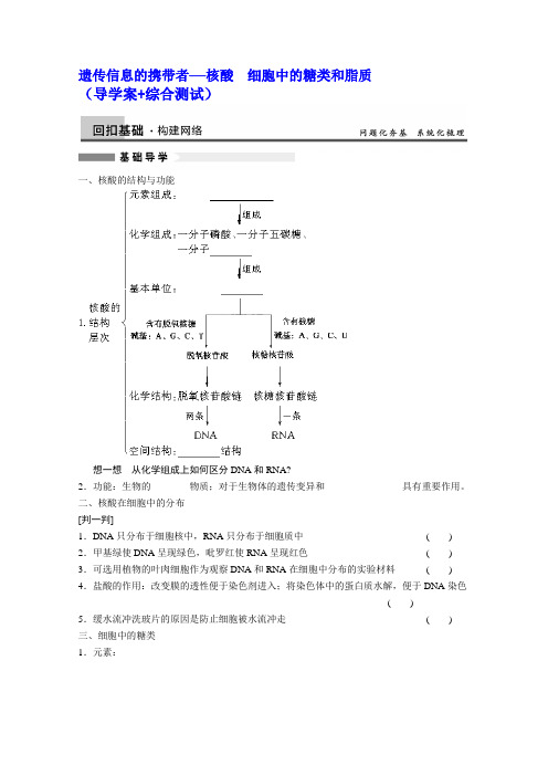 2014届高三生物一轮复习(学案+测试)-核酸、糖类和脂质(新人教版)