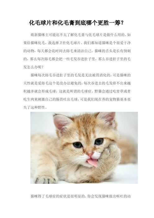 化毛球片和化毛膏到底那个更胜一筹？