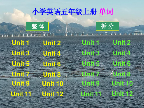 沪教牛津版小学英语五年级上册单词(电脑版)