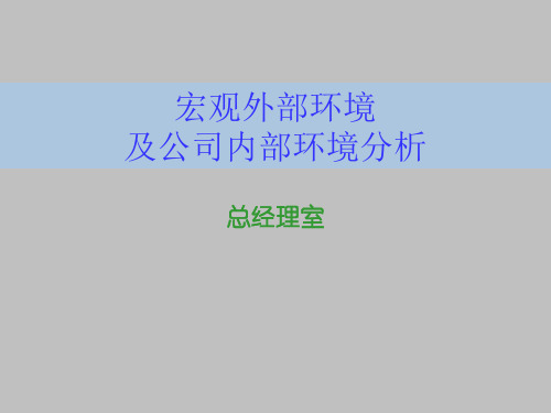 宏观外部环境及环境分析(ppt 12页)