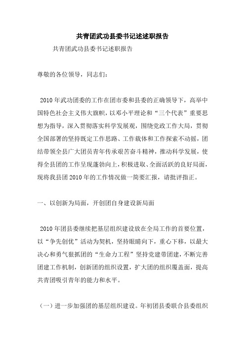 最新共青团武功县委书记述述职报告