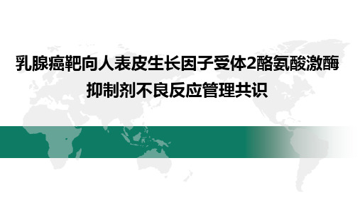 乳腺癌靶向人表皮生长因子受体2酪氨酸激酶-抑制剂不良反应管理共识
