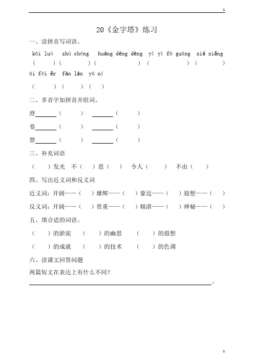 统编人教部编版小学语文五年级下册语文20《金字塔》练习附答案
