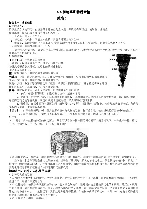 初中浙教版科学八年级下册4.4植物茎和物质运输 学案