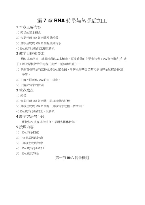 RNA转录与转录后加工