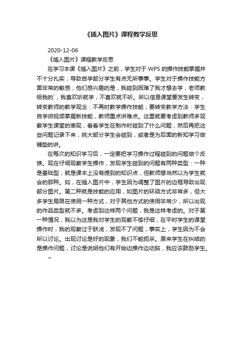 《插入图片》课程教学反思