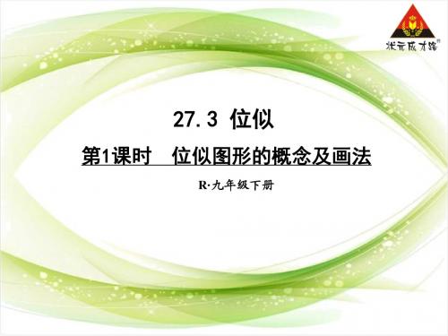 第1课时 位似图形的概念及画法