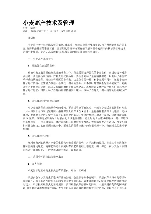 小麦高产技术及管理