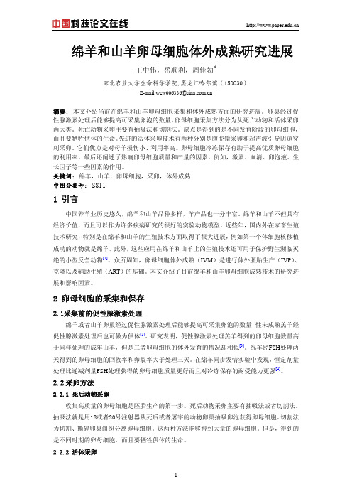 绵羊和山羊卵母细胞体外成熟研究进展