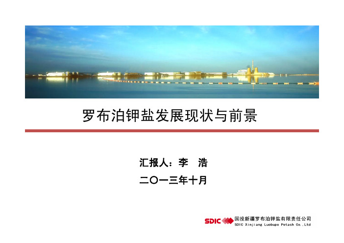 罗布泊钾盐发展现状与前景20131012