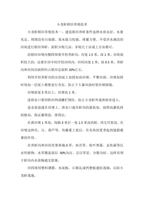 小龙虾稻田养殖技术