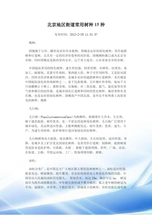 北京地区街道常用树种15种