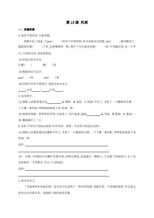 人教版七年级上册语文13风雨(练习1)