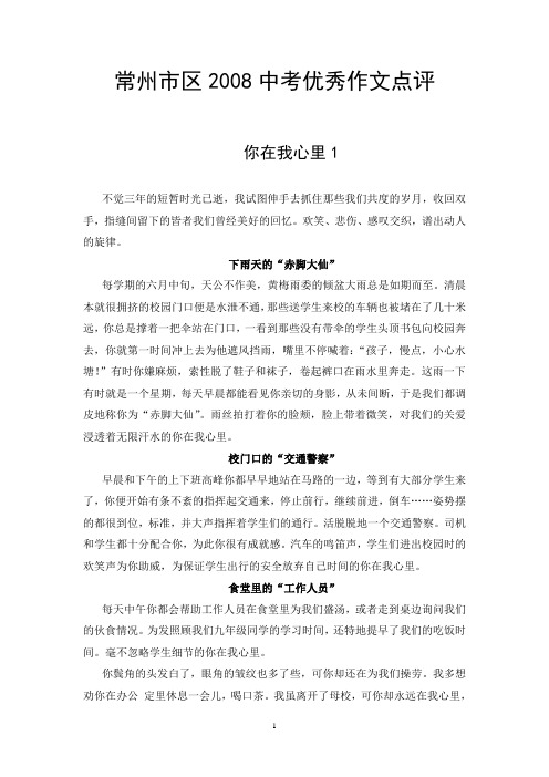 常州市区·2008中考优秀作文点评