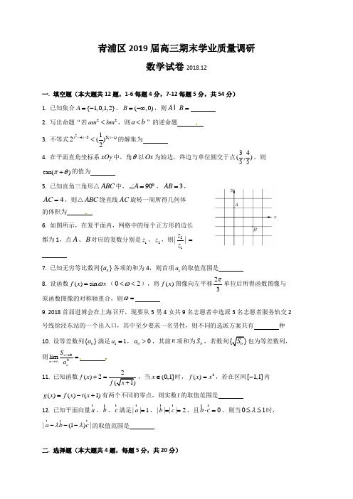 上海市青浦区2019届高三上学期期末学业质量调研(一模)数学试题(含答案)