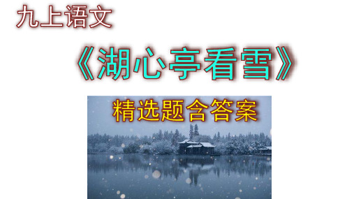 九上语文《湖心亭看雪》精选题含答案