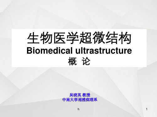 超微结构学概述