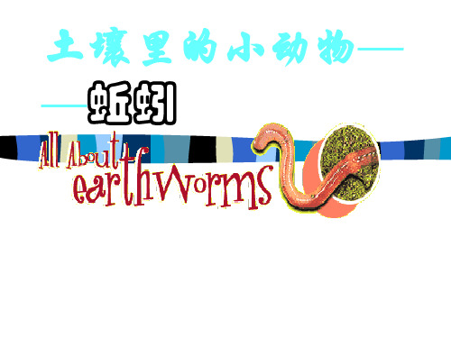 教科版小学科学三年级上册第二单元《蚯蚓》PPT课件