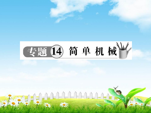【物理】中考苏科版九级复习课件：专题14简单机械(共25张PPT)