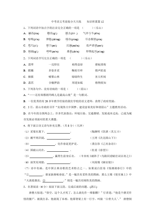 中考语文考前抢分天天练12