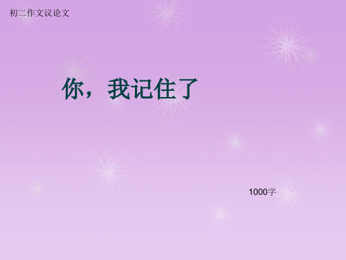 初二作文议论文《你,我记住了》1000字(总15页PPT)