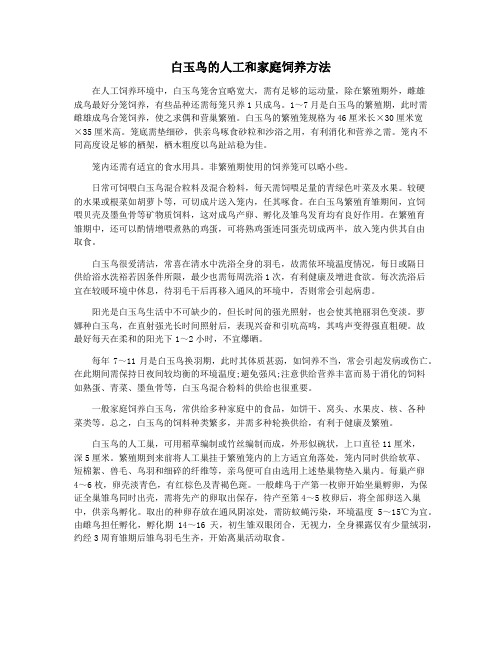 白玉鸟的人工和家庭饲养方法